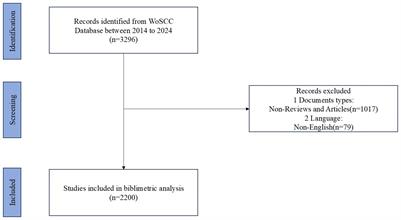 Trends and research foci in immunoregulatory mechanisms of allergic rhinitis: a bibliometric analysis (2014-2024)